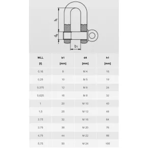 D Shackle Short Form Stainless Steel